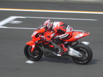 IMGP0339-xga.jpg