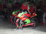 IMGP0407-xga.jpg
