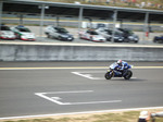 IMGP0451xga.jpg