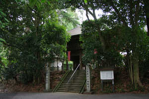 IMGP1202_xga.jpg