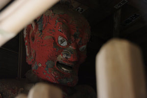 IMGP1223_xga.jpg
