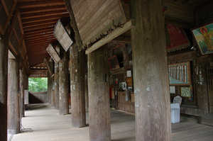 IMGP1266_xga.jpg