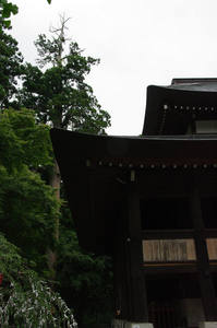 IMGP1291_xga_v.jpg