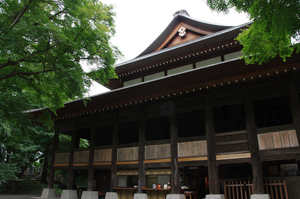 IMGP1295_xga.jpg