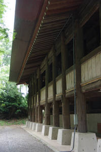 IMGP1317_xga_v.jpg