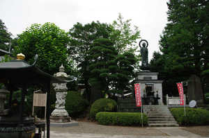 IMGP1329_xga.jpg
