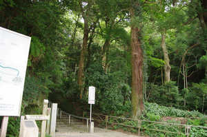 IMGP1353_xga.jpg