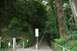 IMGP1356_xga.jpg