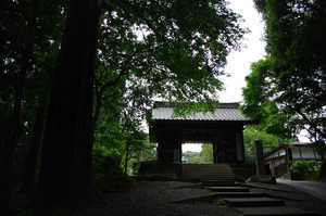 IMGP1373_xga.jpg
