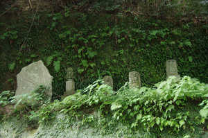 IMGP1374_xga.jpg