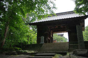 IMGP1379_xga.jpg