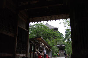 IMGP1385_xga.jpg