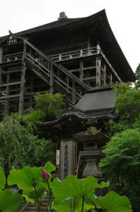IMGP1410_xga_v.jpg