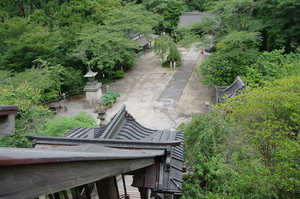 IMGP1479_xga.jpg