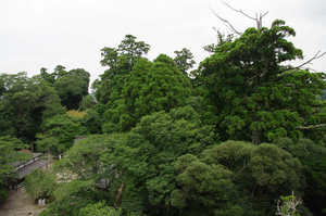 IMGP1488_xga.jpg