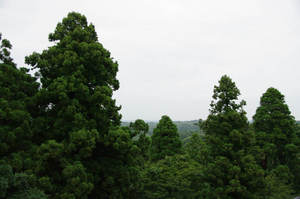 IMGP1499_xga.jpg