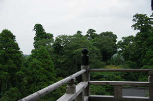 IMGP1502_xga.jpg