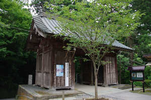 IMGP1549_xga.jpg