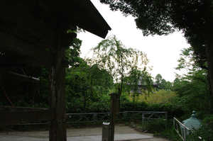 IMGP1598_xga.jpg