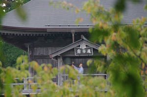 IMGP1618_xga.jpg
