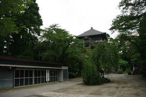 IMGP1638_xga.jpg