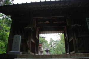 IMGP1643_xga.jpg