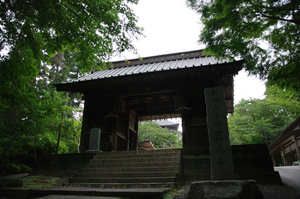 IMGP1649_xga.jpg