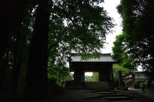 IMGP1652_xga.jpg