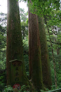 IMGP1665_xga_v.jpg