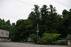 IMGP1711_xga.jpg