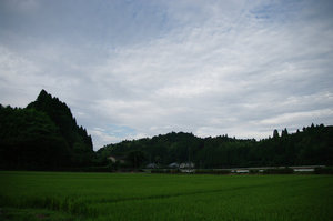 IMGP1715_xga.jpg