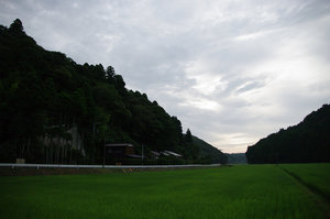 IMGP1718_xga.jpg