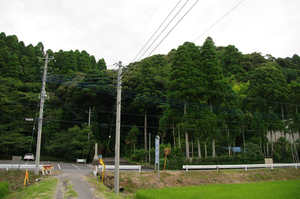 IMGP1719_xga.jpg