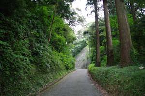 IMGP1725_xga.jpg
