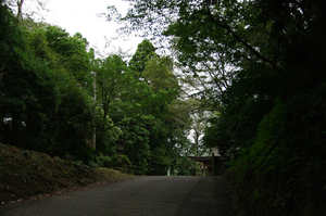 IMGP1730_xga.jpg