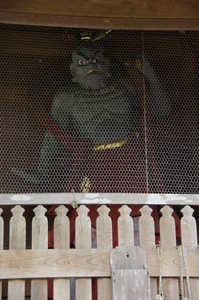IMGP1743_v_xga.jpg