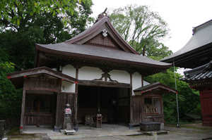 IMGP1778_xga.jpg