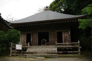 IMGP1781_xga.jpg