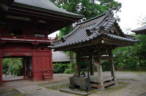 IMGP1784_xga.jpg