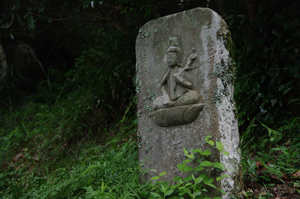 IMGP1790_xga.jpg