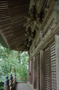 IMGP1817_v_xga.jpg