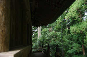 IMGP1823_xga.jpg