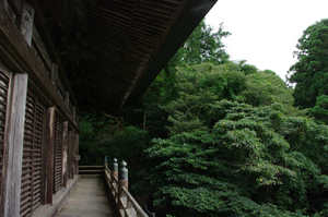 IMGP1831_xga.jpg