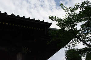 IMGP1843_xga.jpg