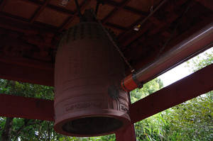 IMGP1855_xga.jpg