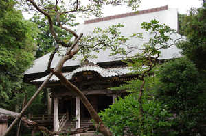 IMGP1859_xga.jpg