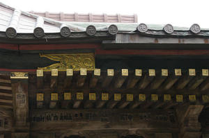 IMGP1874_xga.jpg