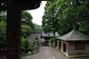 IMGP1877_xga.jpg