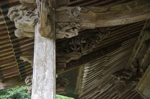 IMGP1884_xga.jpg
