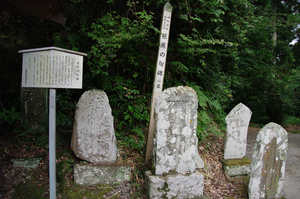 IMGP1886_xga.jpg